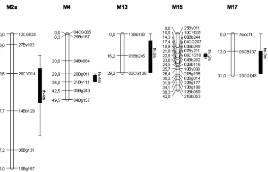 Figure 3. Location of the QTL identified for yield traits on the linkage map of the male parent – CP 96