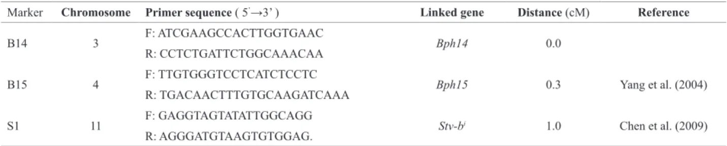 Table 1. Markers used for marker-assisted selection of resistance genes to Bph14, Bph15, and Stv-b i