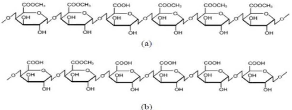 Figura 4: Estrutura molecular da pectina de alto teor de metoxilação (a) e de baixo teor  de metoxilação (b)