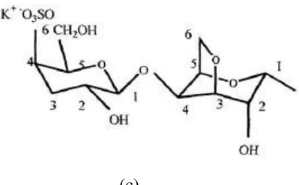 Figura 7: Estrutura química da (a) ι carragena, (b) λ carragena, (c) κ carragena.  