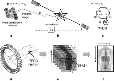 Figure 1 - The principles of PET imaging shown schematically [15]. 