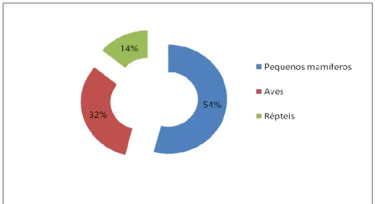 Figura 12. Casuística de espécies exóticas por grupo de animais, em percentagem. 