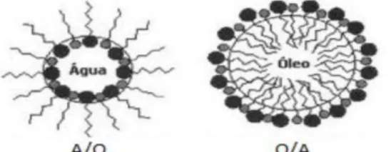 Figura 4 - Representação dos glóbulos de emulsões do tipo A/O e O/A 