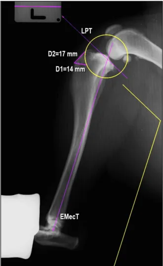 Figura  I.A  -  Radiografia  mediolateral  (pré- (pré-operatório) com flexão a 90º das articulações do  joelho  e  tarsocrural  (EMecT  -  Eixo  mecânico  da  tíbia; LPT – Linha do plateau tibial) 