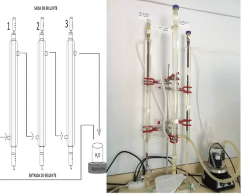 Fig. 7. Bioreactors PCFI1, CONV and PCFI2 - Visual aspect.