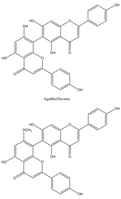 Figura  4  –   Estrutura  molecular  dos  flavonoides  Agathisflavona  e  7’’ -metil-agathisflavona  (Adaptado de SANCHEZ et al, 2000; VRIJSEN et al, 1988) 