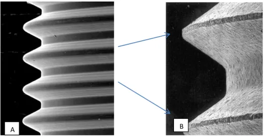 Figura 3 -  1 Micrografia em MEV de Implante com superfície usinada (TEIXEIRA, 2009). 