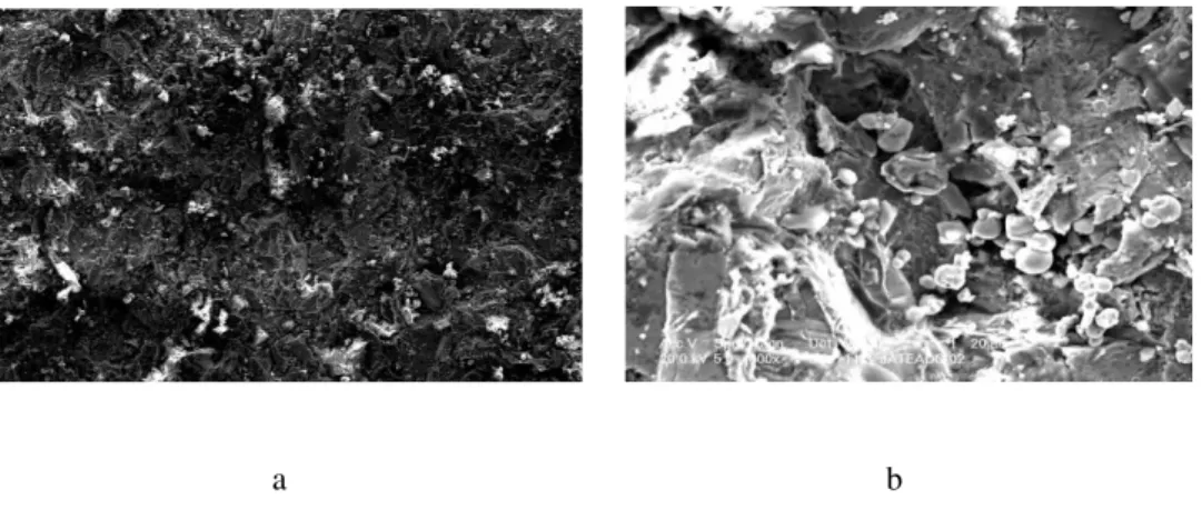 Figura 3 -  2 Morfologia da superfície de titânio com jateamento abrasivo (GIL, 2007)