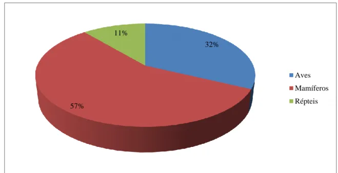 Gráfico 1 - Casuística observada no CVEP em percentagem, segundo à classe taxonómica a que os animais  pertencem