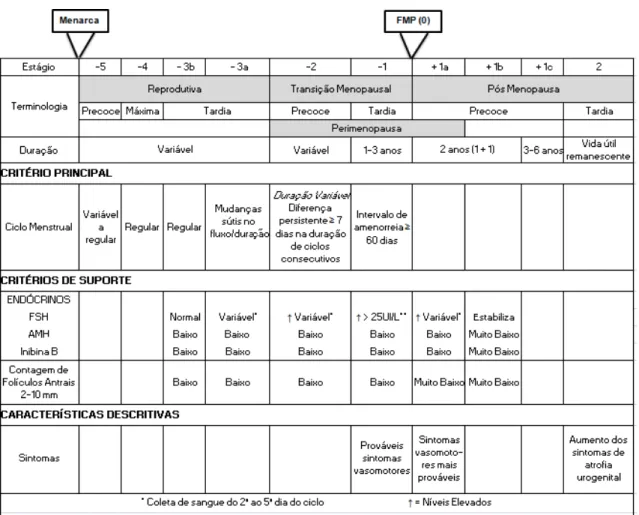 FIGURA  1.  Estágios  do  envelhecimento  reprodutivo  (Adaptado  de  HARLOW  et  al.,  2012)