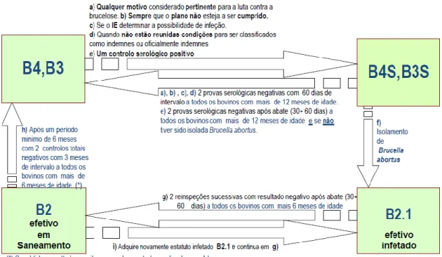 Figura 4 – Fluxograma dos estatutos sanitários da brucelose bovina  (Fonte:  adaptado de  Anexo do Programa Nacional de Erradicação da Brucelose Bovina de 2015)