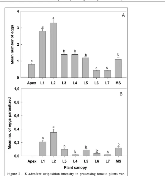 Figure 2 - T. absoluta oviposition intensity in processing tomato plants var.