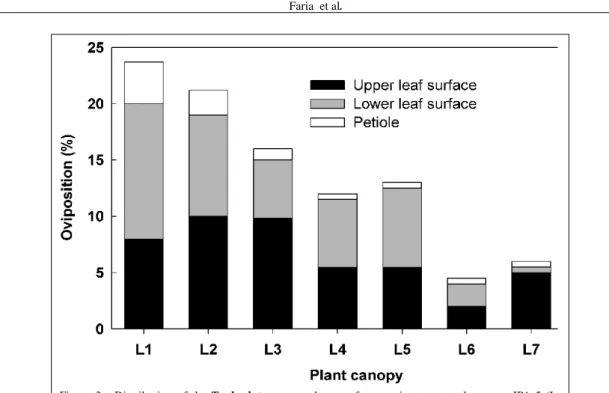 Figure 3 - Distribution of the T. absoluta eggs on leaves of processing tomato plants var