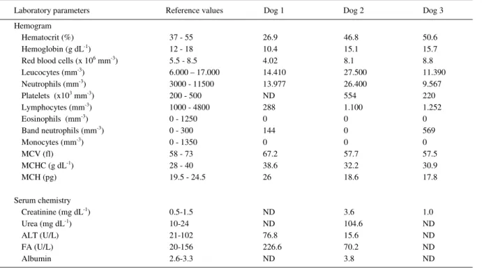 Table 2 - Summary of laboratory values in dogs with chemodectoma.