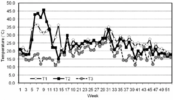 Figure 1 - Temperature on the surface at the center of the floor by lot and treatment
