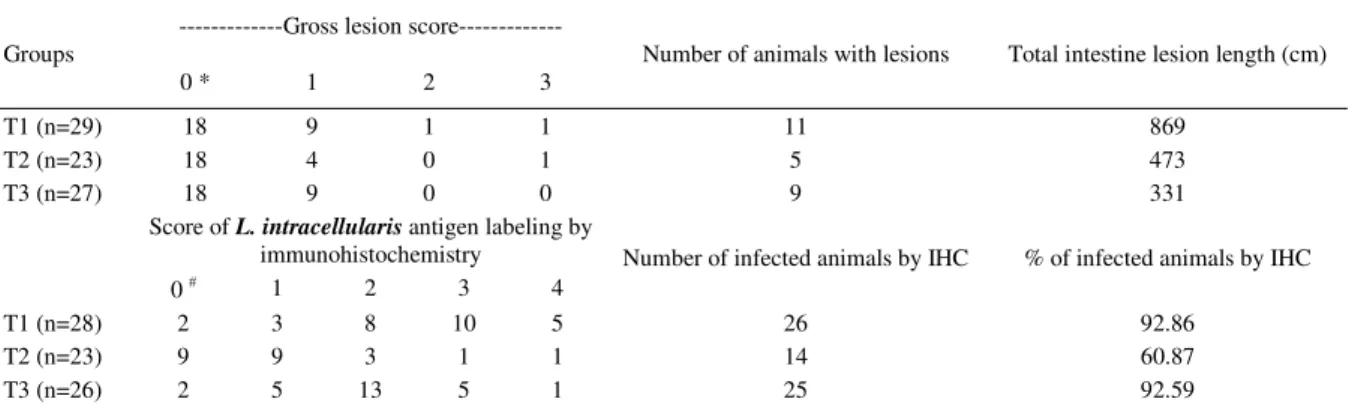 Table 2 - Length and severity of gross lesions characteristic of porcine proliferative enteropathy and intensity of L