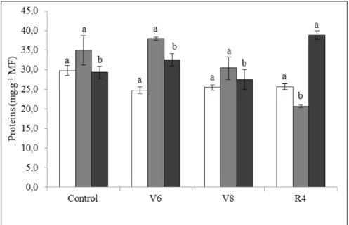 Figure  1  - Total  protein  content  in  soybeans  grains  of  cultivars  ‘BRS  267’  (    );  ‘BRS  257’  (      ) and  ‘BRS  213’  (      ),  flooded  in  three  different  stages:  V6,  V8  and  R4