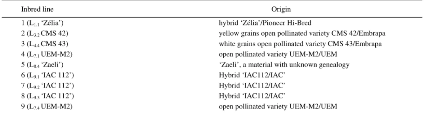 Table 1 - Origin of the popcorn lines used in this study.