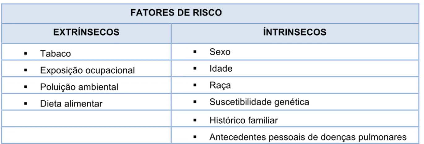 Tabela 1: Principais fatores de risco para cancro do pulmão (4).  