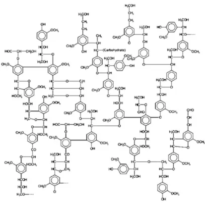 Figura 4. Lignina. (Fonte: STOCKER, 2008). 