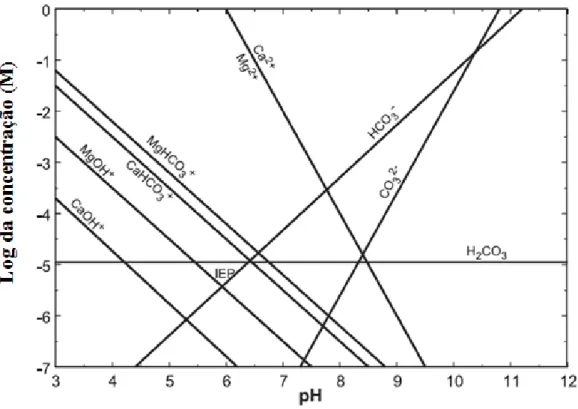 Figura 4  –  Diagrama de especiação em sistema aberto de dolmita-água-CO 2  (adaptado de CHEN; TAO, 2004) 