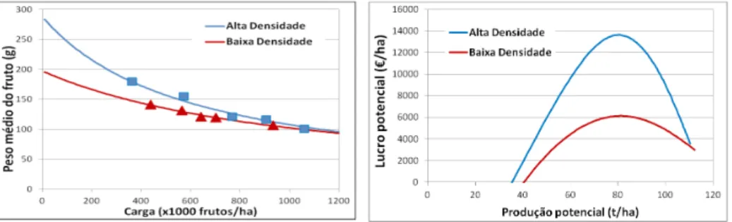 Figura 1 – Expressão do peso médio do fruto e do rendimento em função da carga (produção), em  dois pomares com diferentes densidades.