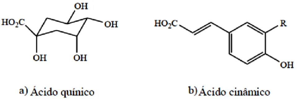 Figura 3 – Estruturas dos: a) ácido quínico, b) formação dos derivados do ácido  cinâmico: cafeico (R=OH), ferúlico (R=Ome) e ρ-cumárico (R=H) (Perrone et al, 2008) 