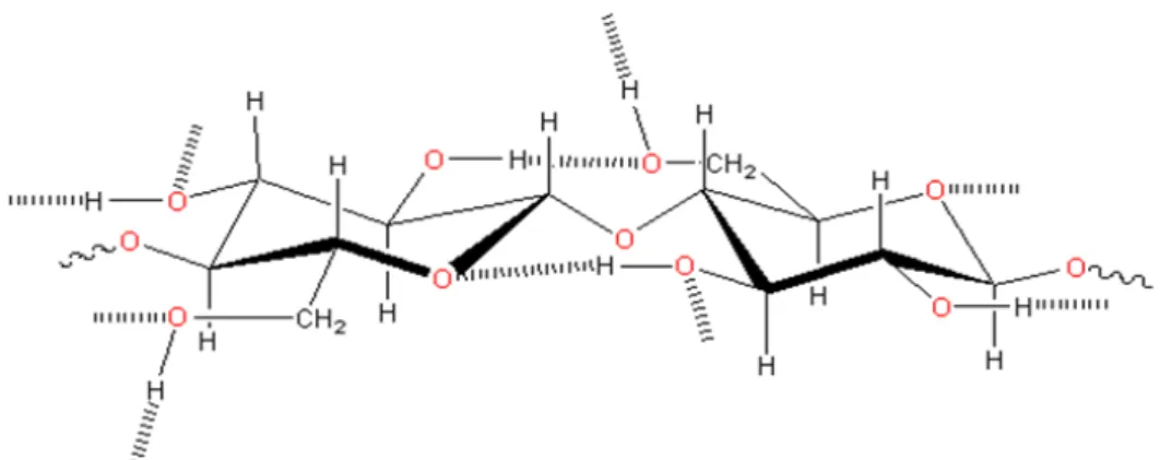 Figura 8: Conformação da molécula de celulose. Fonte: Harding, 2017. 