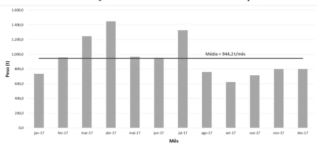 Gráfico 15: Quantidade de resíduo recolhido na coleta de apoio 