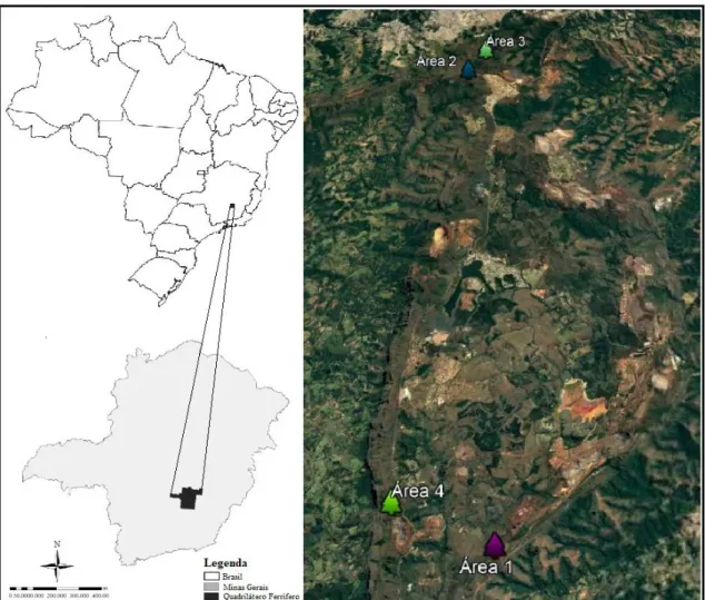 Figura 1 - Localização das quatro populações estudas de Arthrocereus glaziovii em parte da região do Quadrilátero  Ferrífero, Minas Gerais, Brasil