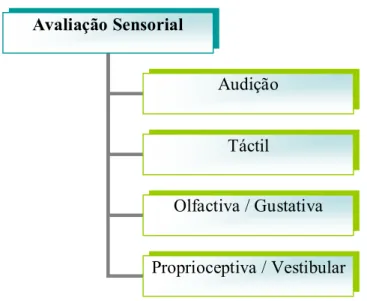 Fig. 3 – Avaliação Sensorial 