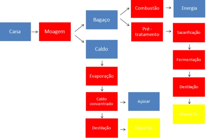 Figura 3 – Utilização de bagaço de cana para indústria de alimentos e produção de bioetanol  