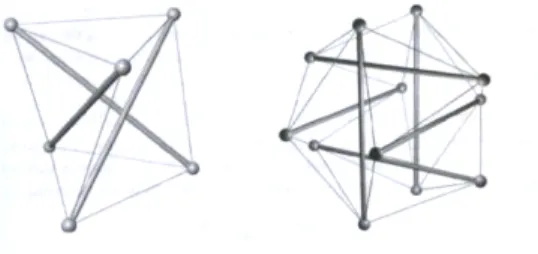 Figure 16 : Cellules de tenségrité à trois et six barres. 