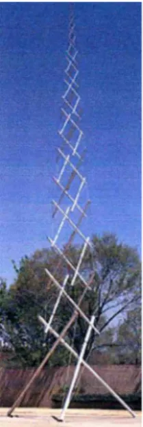 Figure 18 : Dans la Tour d’Aiguilles, les fils répartissent la tension et les tiges  supportent la compression