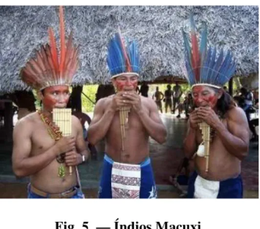 Fig. 5. — Índios Macuxi 
