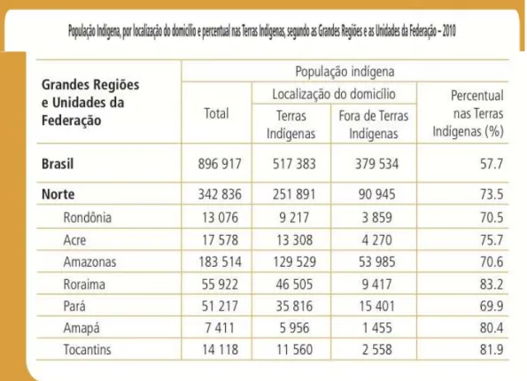 Fig. 13 – População indígena no Brasil. 