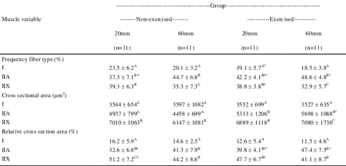 Table 1 - mean frequency (%), cross sectional area (μm 2 ) and relative cross-sectional area (%) of each fiber type in a biopsy of the gl uteus  medius muscle of male horses of the Brasileiro de Hipismo breed, with  ages of about 4 years