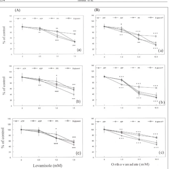 Figure 3 - Effect of levamisole (A) and orthovanadate (B) on the activity of total acid phosphatase in cucumber (a), radish (b) and rocket salad (c) with ATP, ADP, PPi or â-glycerol phosphate as substrate