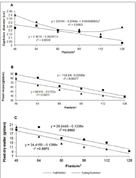 Figure  3  -  Capitulum  diameter  (A),  fresh  mass  (B)  and  plant  dry  matter  (C)  of  safflower grown  in  the  Fall/Winter  and  Spring/Summer,  according  to  the  number  of  plants per  square  meter.