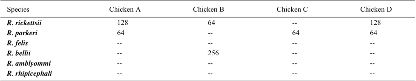 Table 1 - Anti-rickettsial antibodies titration in four serum-positive domestic chickens to R