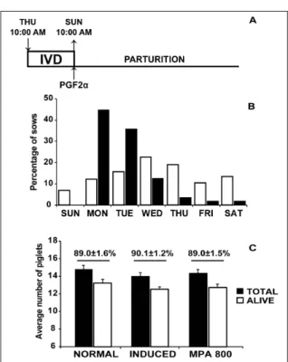Figure 2 - Panel A depicts the hormonal protocol used to avoid  parturitions during the weekend