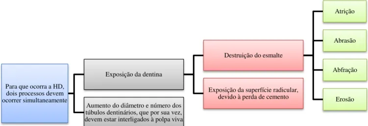 Figura 1: Esquematização da Etiologia da HD 