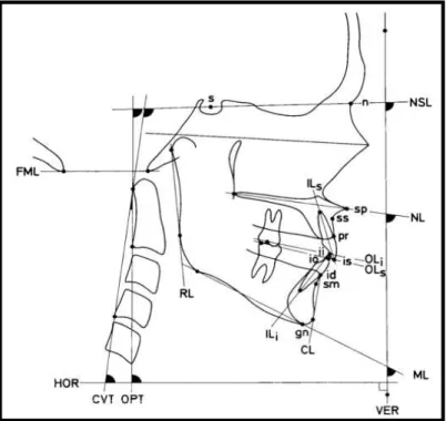 Figura 5  pontos e traçados para  avaliação  da  postura   crânio-cervical  propostos  por  Solow  &amp; 