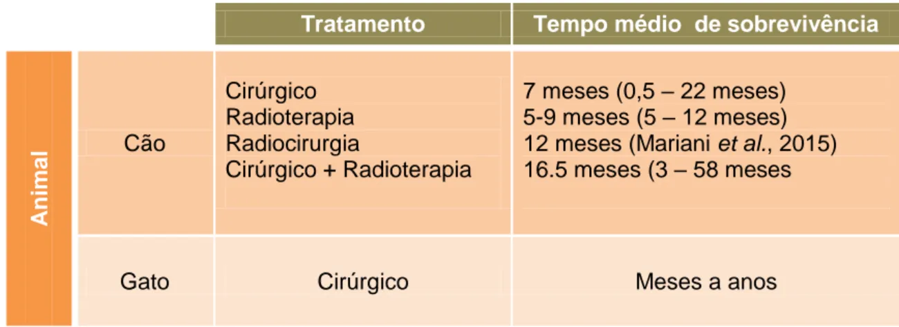 Tabela 10. TMS de acordo com o diferente método terapêutico aplicado quando  presente um meningioma intracraniano na espécie canina e felina (Fitzmaurice, 2010a)  Meningioma  Tratamento  Tempo médio  de sobrevivência 