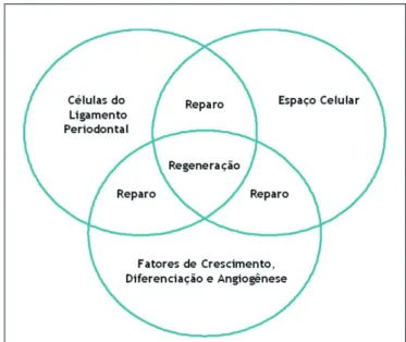 Figura 2. Fatores para se obter regeneração periodontal, adaptado de: IVANOVSKI et al