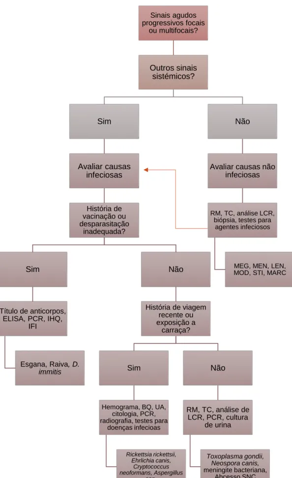 Figura 12 – Algoritmo de diagnóstico para meningoencefalite infeciosa e idiopática. IHQ – Imuno- Imuno-histoquímica; IFI – Imunofluorescência Indireta; BQ – bioquímica sérica; UA – Urinálise; ELISA –  Enzyme-Linked ImmunonoSorbent Assay (adaptado de Nghiem