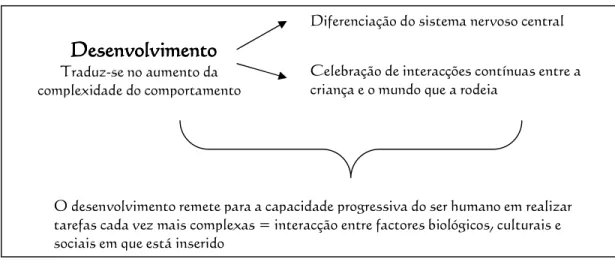 Fig. 1 – Desenvolvimento e comportamento (Moreira, 1999; Tavares e Alarcão, 1992)  A  qualidade  dos cuidados  prestados  parece  desencadear efeitos a longo prazo  no  tipo de indivíduo em que o bebé se irá converter