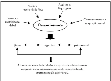 Fig. 4 – Desenvolvimento e experiência (Bornstein e Genevro, 1996; Davies, 1999; Post &amp; 