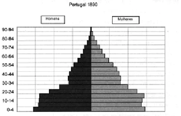 Gráfico 1: Pirâmide relativa à população em Portugal em 1890. 
