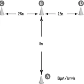 Figura 2: “T-Test modificado” 